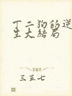 丁二狗的逆袭人生大结局
