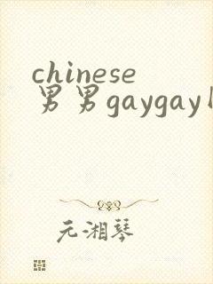 chinese男男gaygay网站