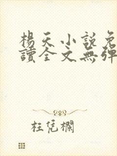 杨天小说免费阅读全文无弹窗