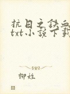 抗日之铁血智将txt小说下载