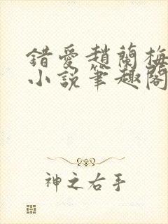 错爱赵兰梅孙明小说笔趣阁