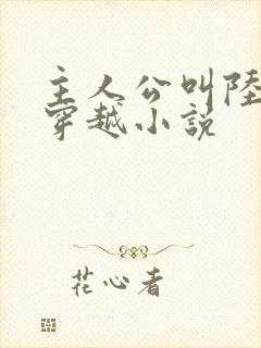 主人公叫陆羽的穿越小说