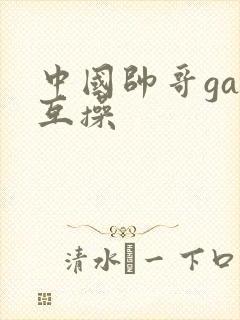 中国帅哥gay互操