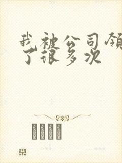 我被公司领导C了很多次