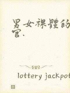 男女裸体的性器官.