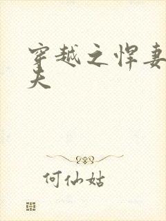 穿越之悍妻共三夫