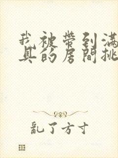 我被带到满是玩具的房间挑调作文