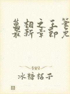 万相之王笔趣阁最新章节免费阅读封面