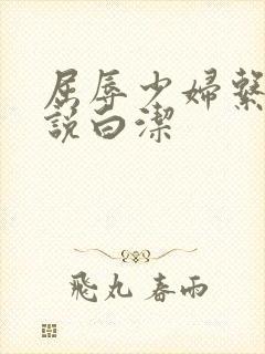 屈辱少妇系列小说白洁封面