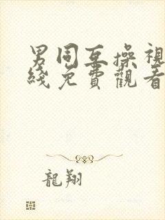 男同互操视频在线免费观看