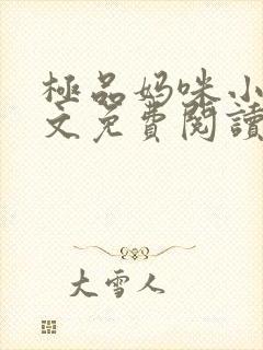 极品妈咪小说全文免费阅读