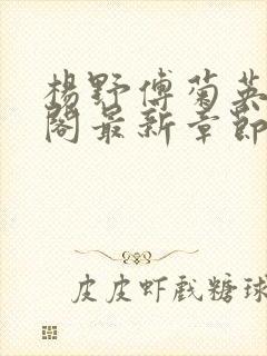 杨野傅菊英笔趣阁最新章节列表