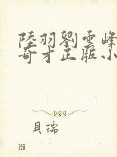 陆羽刘云峰鸿途奇才正版小说封面