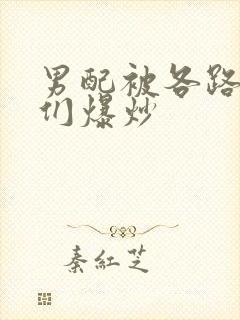 男配被各路大佬们爆炒