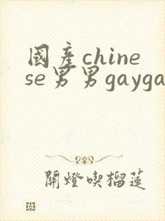 国产chinese男男gaygay免费观看