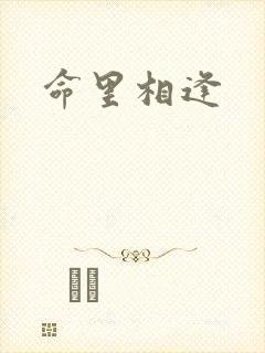命里相逢