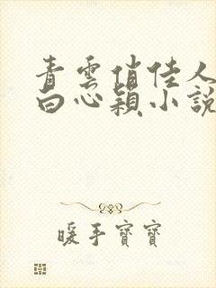 青云俏佳人李泽白心颖小说免费阅读封面