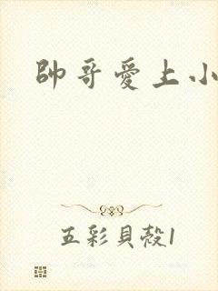 帅哥爱上小鲜肉封面