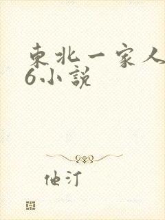 东北一家人1一6小说