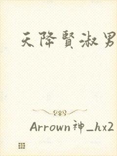 天降贤淑男小说封面