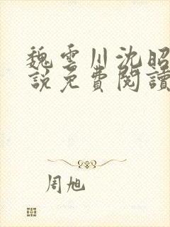 魏云川沈昭禾小说免费阅读笔趣阁封面