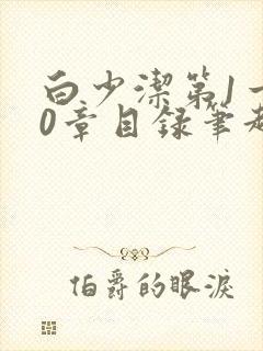 白少洁第1一40章目录笔趣阁