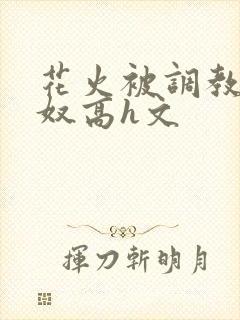 花火被调教成肉奴高h文