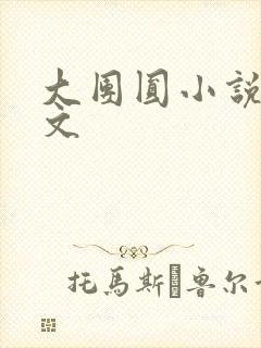 大团圆小说集全文封面