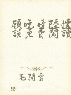 顾晚晴陆怀铮小说免费阅读最新章节