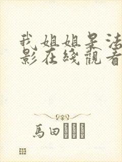 我姐姐是法官电影在线观看封面