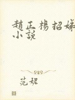 赵正杨招娣穿越小说封面