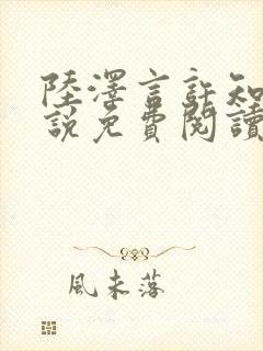 陆泽言许知夏小说免费阅读最新章节封面