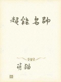 超能名帅封面