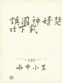 镇国神婿楚尘txt下载