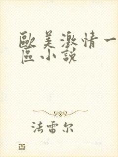 欧美激情一区二区小说