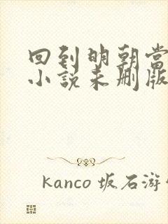 回到明朝当王爷小说未删版完整封面