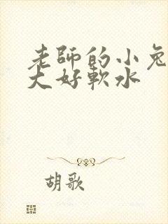 老师的小兔子好大好软水