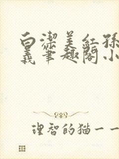 白洁美红孙倩高义笔趣阁小说封面