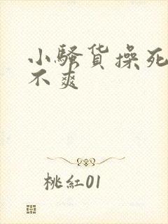 小骚货操死你爽不爽封面