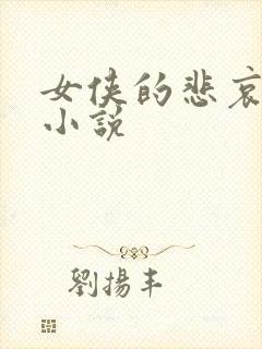 女侠的悲哀续集小说封面