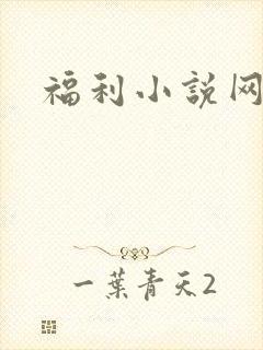 福利小说网封面