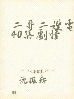 二哥二嫂电视剧40集剧情