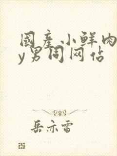 国产小鲜肉gay男同网站