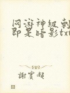 网游神级刺客我即是暗影txt下载