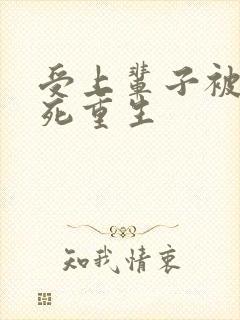 受上辈子被攻杀死重生封面