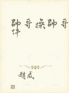 帅哥操帅哥一软件