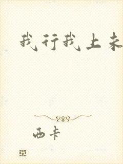 我行我上未删减