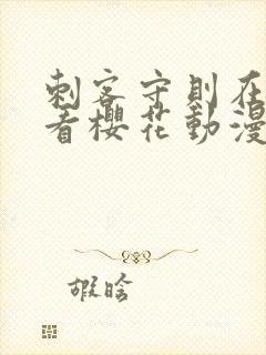 刺客守则在线观看樱花动漫封面