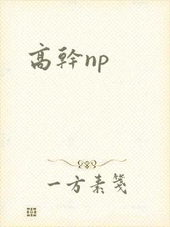 高干np