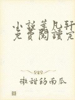 小说叶凡轩雨妃免费阅读完整